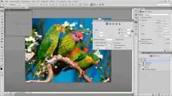 Adobe Photoshop CC